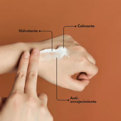 Skin1004 Madagascar Centella Probio-Cica Enrich Cream